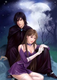 極意帝尊